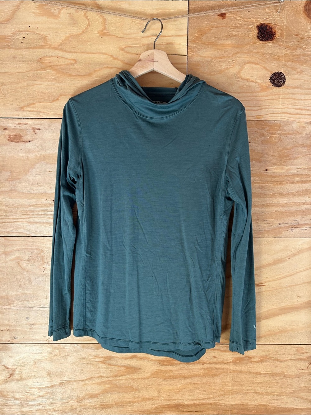 Arc'teryx Women's Marino Wool Hooded Long Sleeve in Teal Green